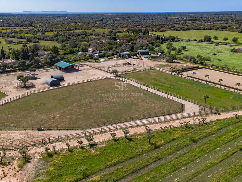 Vue aérienne de paddocks clôturés, d'écuries et de champs verts avec la mer Méditerranée à l'horizon.