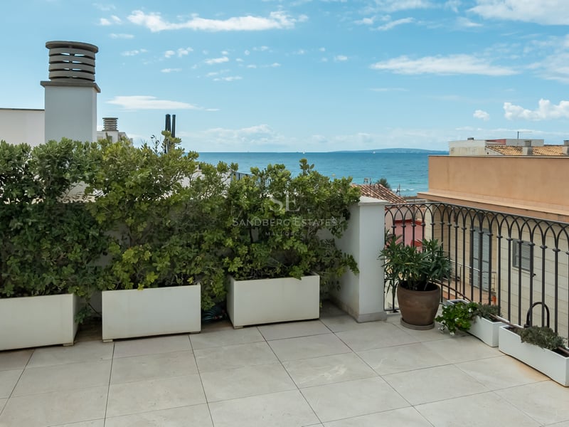 Une terrasse ensoleillée sur le toit avec de grands bacs à fleurs blancs, des buissons verts, une balustrade en fer forgé et une vue sur l'océan bleu.