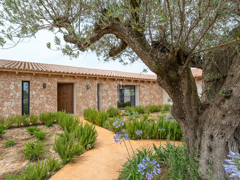 Villa moderne avec murs en pierre, grand olivier et chemin en terre cuite menant à une porte en bois.