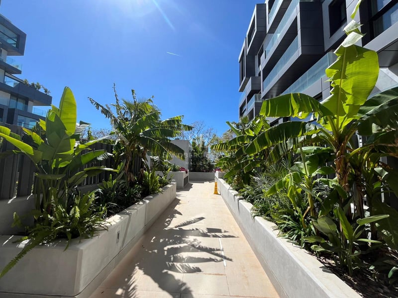 Chemin extérieur entre des immeubles modernes bordé de jardinières en béton et de bananiers tropicaux.