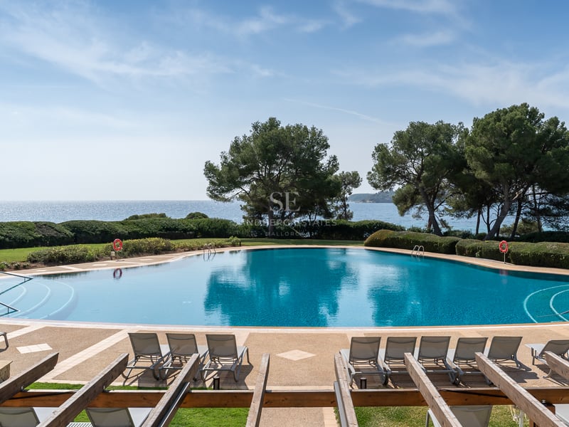 Grande piscine courbe avec vue sur la mer, entourée de chaises longues et de pins sous un ciel bleu.