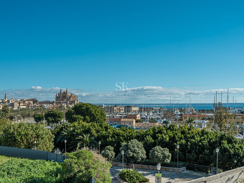 Vue panoramique surplombant des arbres vers la cathédrale de Palma et un port rempli de voiliers sous un ciel bleu.