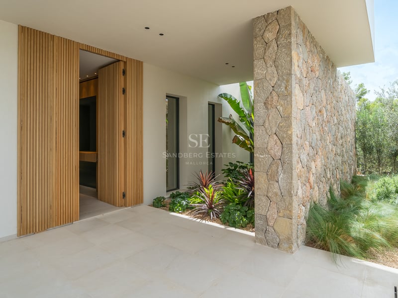 Entrée d'une maison moderne avec porte en bois à lattes, mur en pierre naturelle et plantes tropicales.