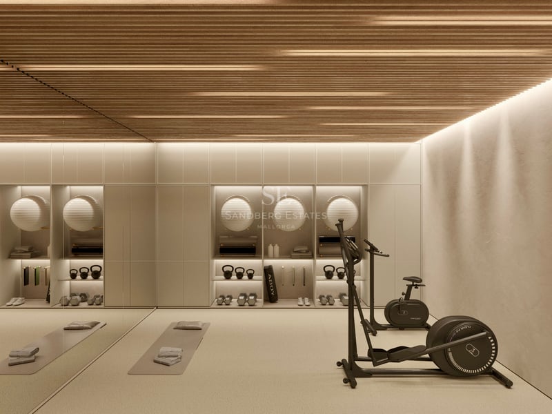 Salle de sport moderne avec plafond en lattes de bois, vélo elliptique, poids et ballons d'exercice.