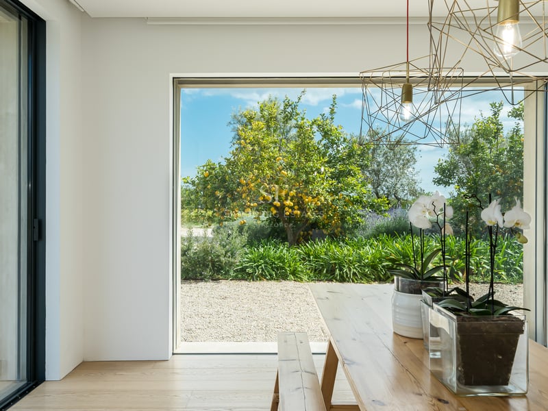 Table et banc en bois massif devant une grande baie vitrée ouvrant sur un jardin avec citronnier.
