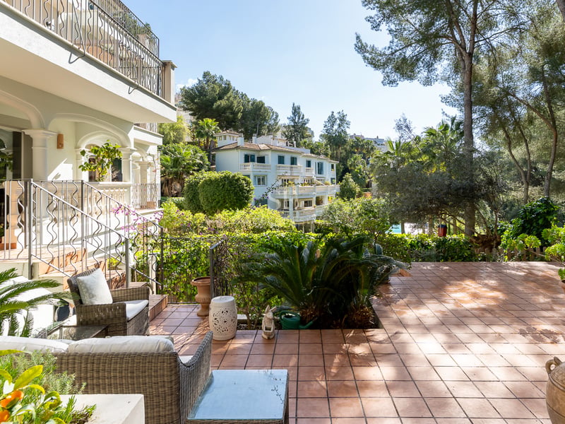 Grande terrasse en terre cuite avec fauteuils en osier entourée de plantes luxuriantes et de pins sous un ciel bleu.