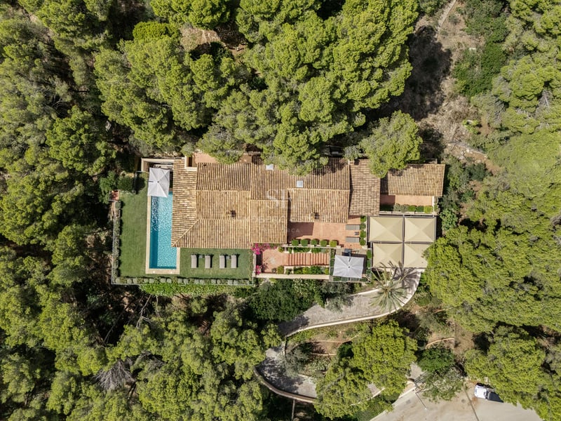 Vue de dessus d'une villa aux toits de terre cuite entourée d'une forêt dense avec une piscine bleue.