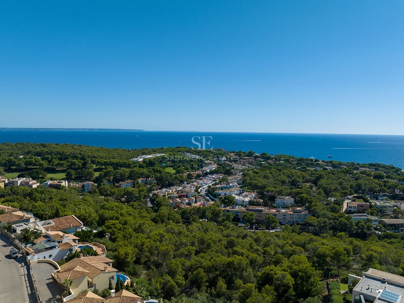 Vue aérienne d'une forêt verdoyante rejoignant une ville côtière avec la mer bleue à l'horizon.
