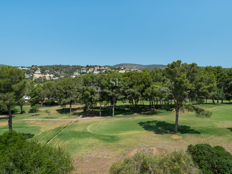 Vue en hauteur d'un terrain de golf verdoyant bordé de pins sous un ciel bleu azur.