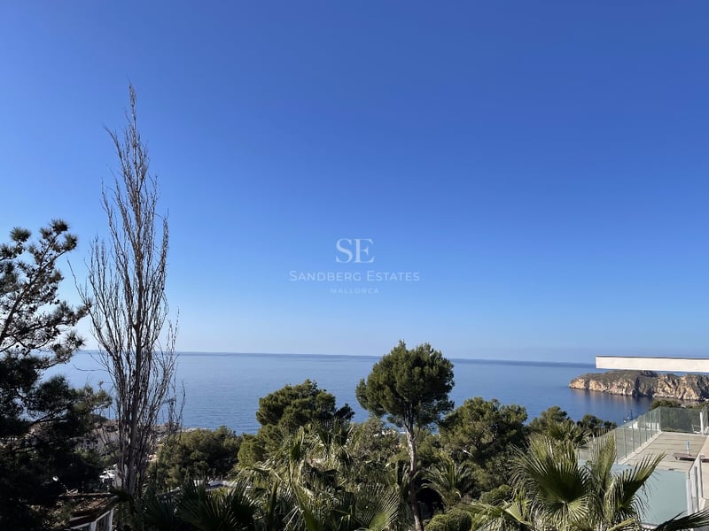 Vue en plongée de la mer Méditerranée bleue encadrée par des pins et un garde-corps moderne en verre.