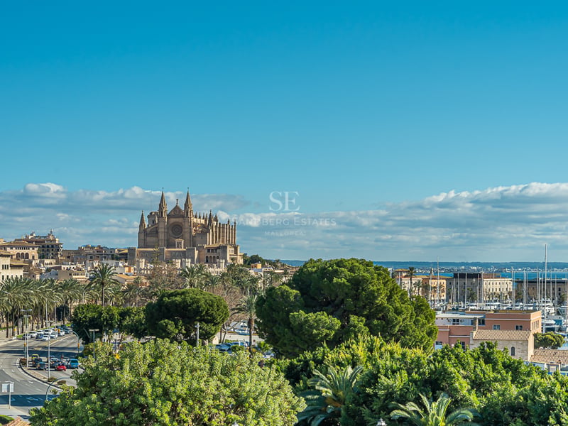 Vue dégagée sur la cathédrale de Palma de Majorque, un port de plaisance avec des yachts et des arbres verdoyants.