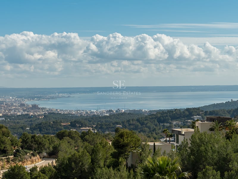 Vue panoramique sur la baie de Palma et le littoral méditerranéen depuis une colline boisée sous un ciel bleu.
