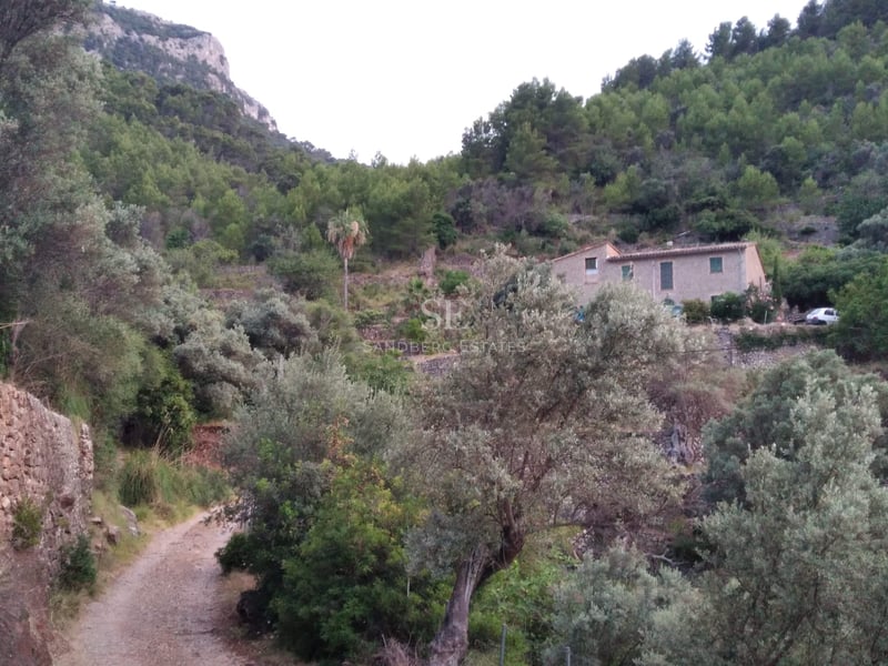 Maison traditionnelle en pierre située sur une colline boisée avec un chemin de terre et des montagnes en arrière-plan.