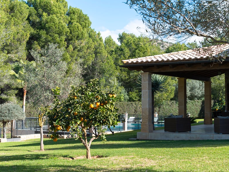 Pelouse avec un oranger au premier plan et une terrasse couverte aux piliers en pierre avec mobilier en rotin.