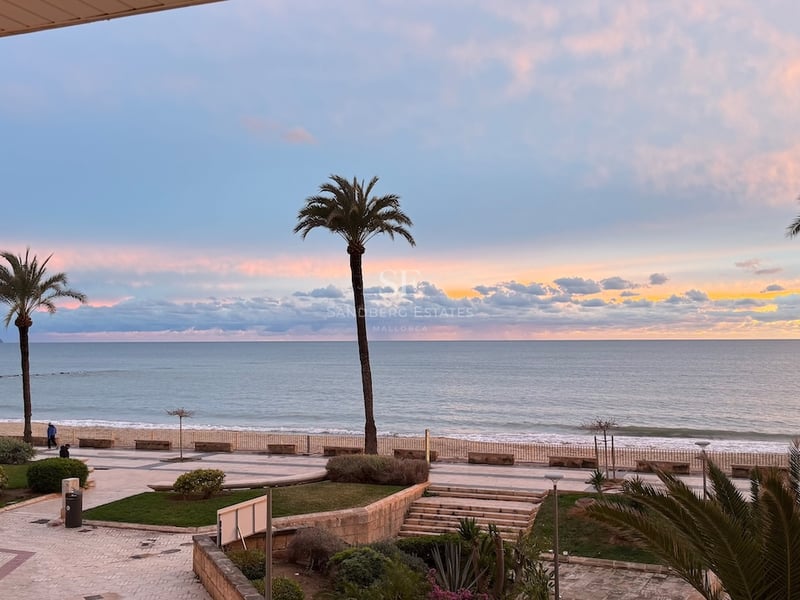 Blick auf den Strand und das Mittelmeer bei Sonnenuntergang von einer Terrasse mit Palmen und Promenade.
