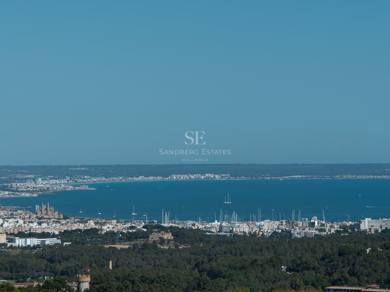 Vue sur la côte de Palma de Majorque, montrant la cathédrale gothique et le port de plaisance rempli de yachts.