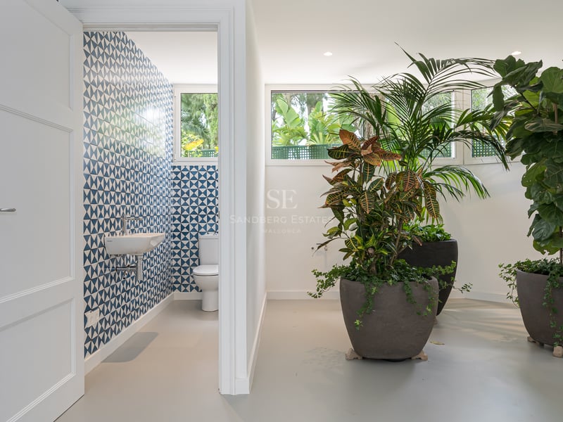 Toilettes d'invités avec carreaux bleus et blancs à côté d'un couloir avec de grandes plantes vertes.