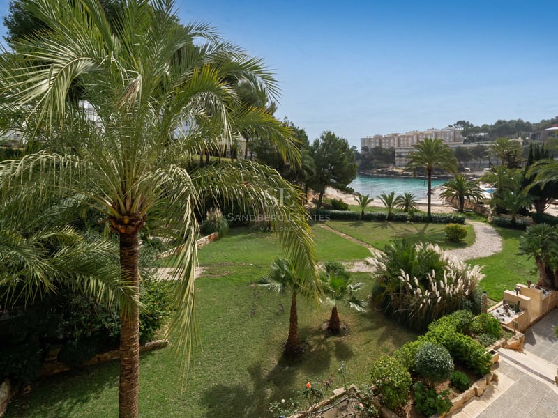 Vue d'un jardin tropical avec palmiers, pelouse et chemins en pierre surplombant une crique bleue.