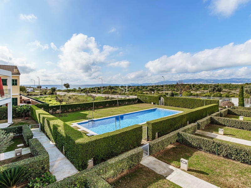 Piscine rectangulaire bleue entourée de haies vertes taillées avec vue sur la mer au loin sous un ciel bleu.