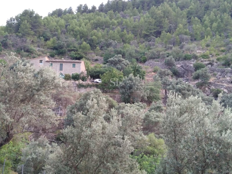 Maison traditionnelle en pierre sur une colline en terrasses entourée d'oliviers et de pins.