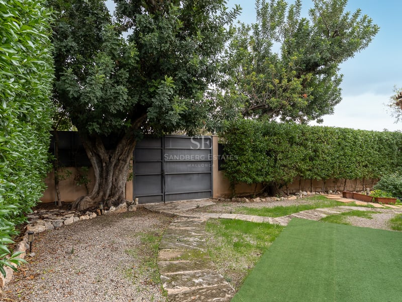 Jardin privé avec allée en pierre, hautes haies, un grand arbre mature et un portail métallique sous une lumière naturelle.