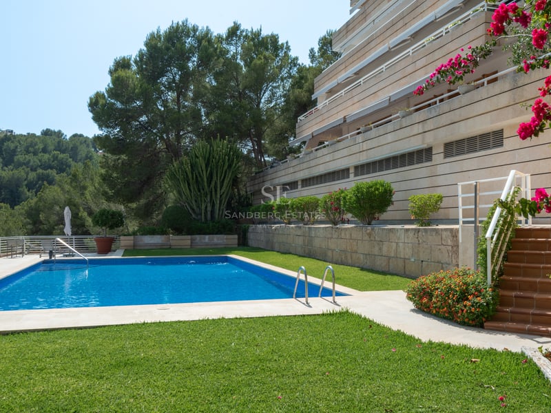 Piscine rectangulaire entourée d'une pelouse, de bougainvilliers et d'un bâtiment en pierre sous un ciel bleu.