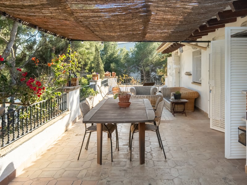 Terrasse ombragée avec table à manger en bois, meubles en osier et barbecue intégré entourée de pins.