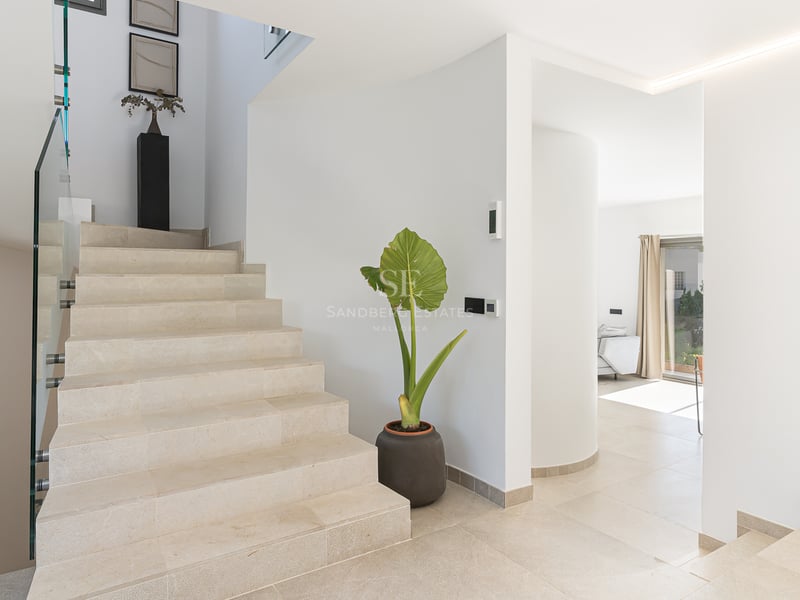 Escalier intérieur moderne avec marches en pierre crème, garde-corps en verre et une grande plante dans un hall lumineux.