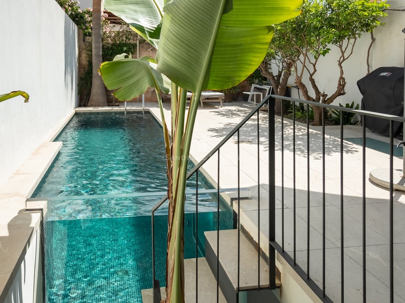 Piscine étroite turquoise avec une paroi en verre transparente à côté d'une terrasse en pierre et de plantes tropicales.