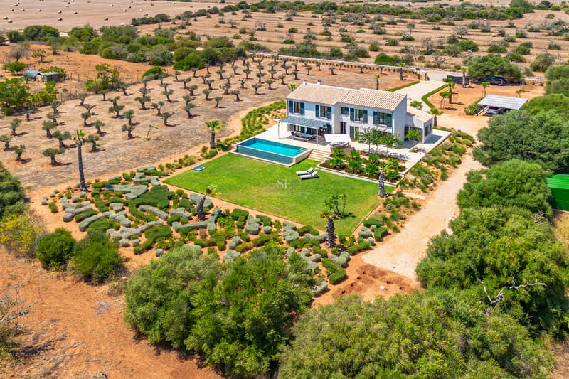 Flygbild av en vit villa med infinitypool och omfattande olivlund på den mallorkinska landsbygden.