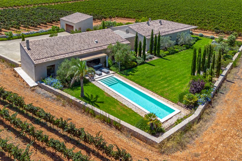 Luxury Finca with Lap Pool Surrounded by Vineyards Aerial view of a modern villa featuring a long lap pool, manicured lawn, and vast vineyards under bright sunlight.