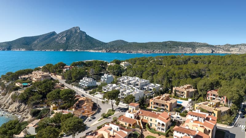 Panoramautsikt från luften över kustvillor och berg Flygfoto över kustvillor inbäddade i tallskog vid ett turkost hav med en stor bergstopp i bakgrunden.