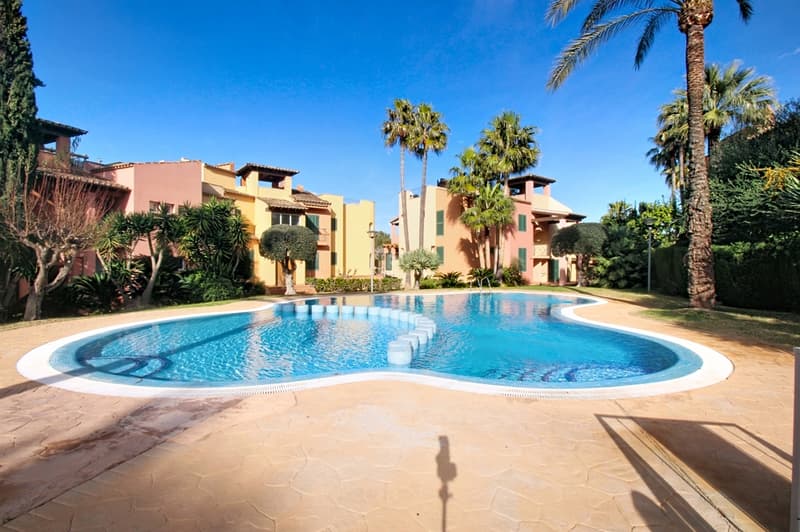 Large curved blue tiled swimming pool surrounded by terracotta paving, palm trees, and ochre buildings.