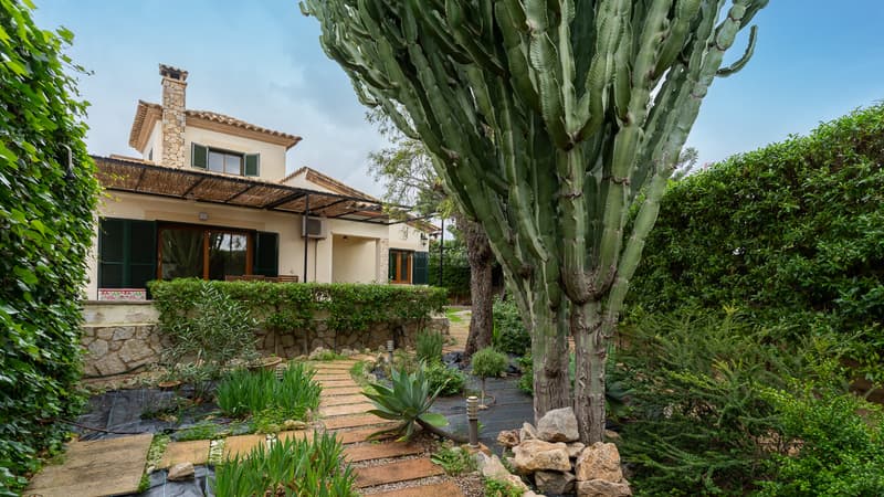 Vue d'un jardin luxuriant avec un grand cactus, une allée en pierre et une maison méditerranéenne aux volets verts.
