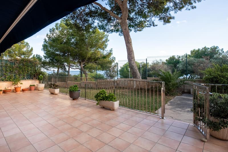 Terrasse Méditerranéenne avec Vue Mer Grande terrasse en terre cuite avec garde-corps inox, pins parasols et vue sur l'horizon marin.