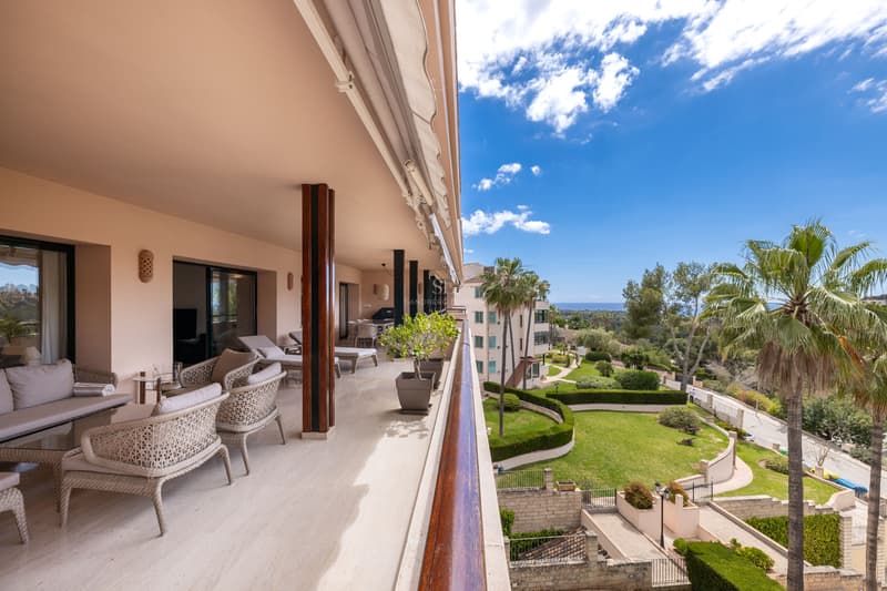 Terrasse de luxe avec vue panoramique sur la mer Grande terrasse couverte avec mobilier en osier surplombant un jardin avec palmiers et la mer sous un ciel bleu.