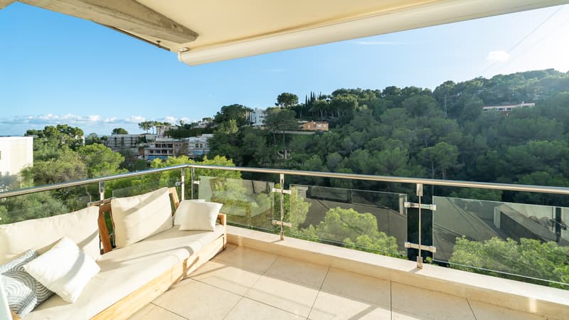 Terrasse de luxe avec vue panoramique sur la forêt Canapé en bois sur une terrasse ensoleillée avec balustrade en verre et vue sur une forêt luxuriante.