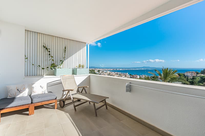 Balcon Exclusif Vue Mer: Investissement Luxueux Grand balcon avec rambarde en verre, vue panoramique sur la mer et mobilier moderne de détente. Les plantes ajoutent une touche naturelle.