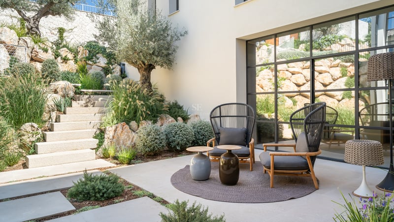 Patio moderne avec fauteuils gris, escaliers en pierre, olivier et grande fenêtre de style industriel.