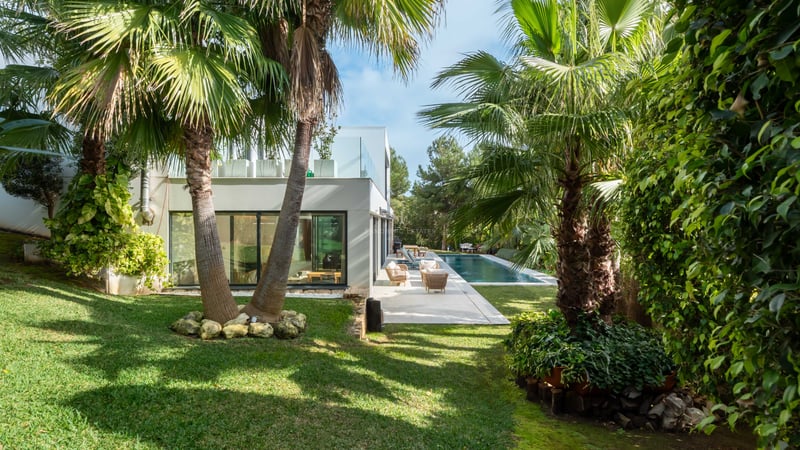 Jardin verdoyant avec palmiers menant à une villa blanche moderne et une piscine sous un ciel bleu.