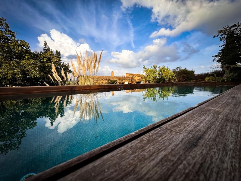 Vue en contre-plongée d'une piscine reflétant un ciel bleu nuageux, encadrée par une terrasse en bois et de la verdure.