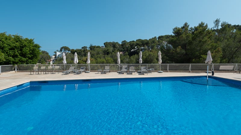 Piscine rectangulaire en carrelage bleu avec chaises longues et parasols devant des collines boisées.