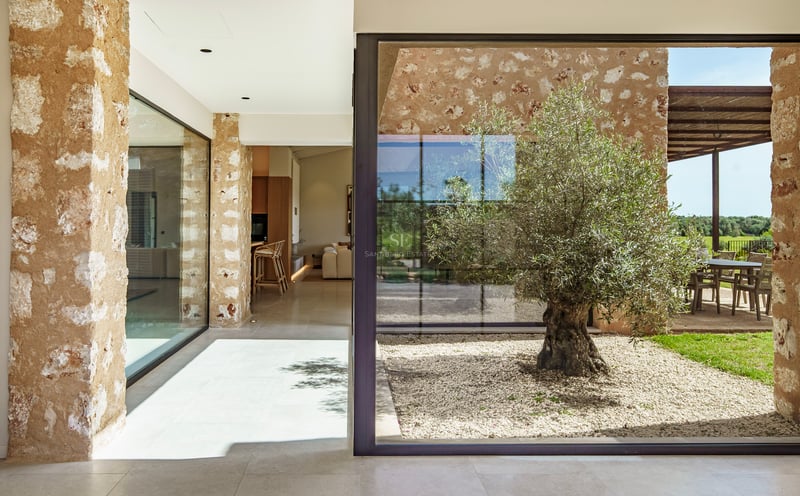 Patio interior acristalado con un olivo sobre grava clara y muros de piedra natural en una villa moderna.