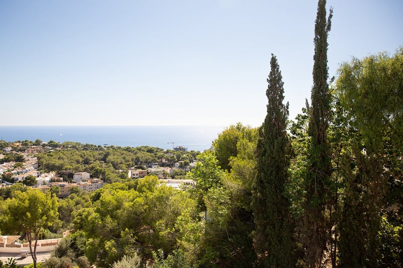Vue surélevée sur une forêt verdoyante et une ville côtière menant à la mer bleue sous un ciel clair.
