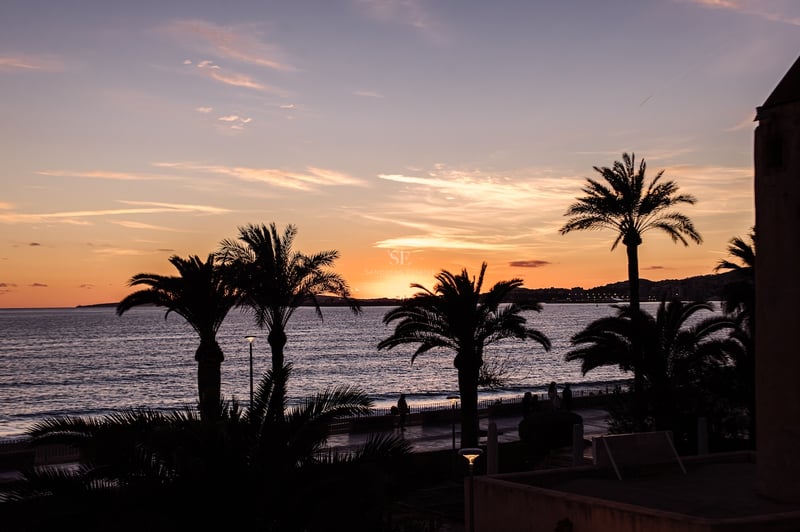 Silhouette von Palmen vor einem orange-violetten Sonnenuntergang über dem Meer und der Küstenpromenade.