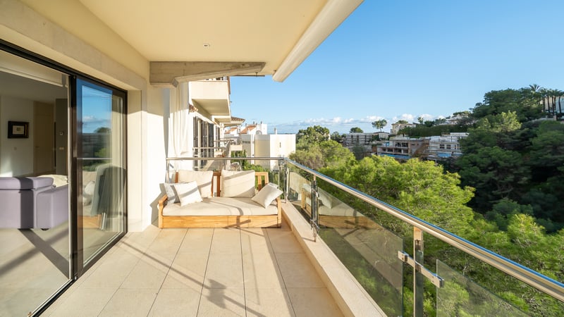 Balcon moderne avec canapé en bois et garde-corps en verre surplombant une forêt de pins luxuriante sous un ciel bleu.