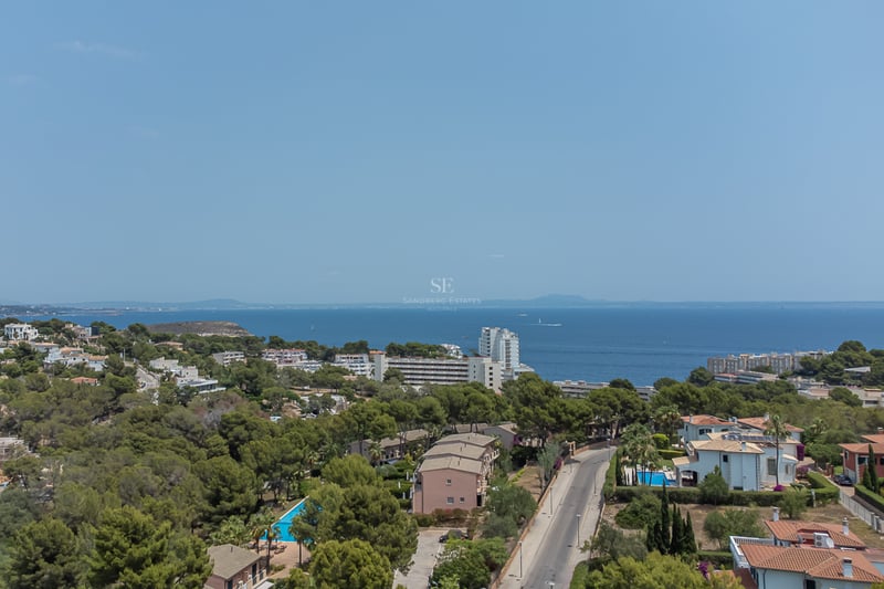 Vue en hauteur d'une zone résidentielle côtière avec des pins, des maisons blanches et la mer Méditerranée.