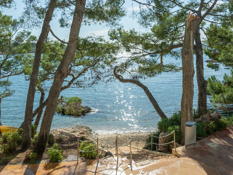 Vue sur la mer turquoise à travers les pins depuis une terrasse en terre cuite avec garde-corps en corde.