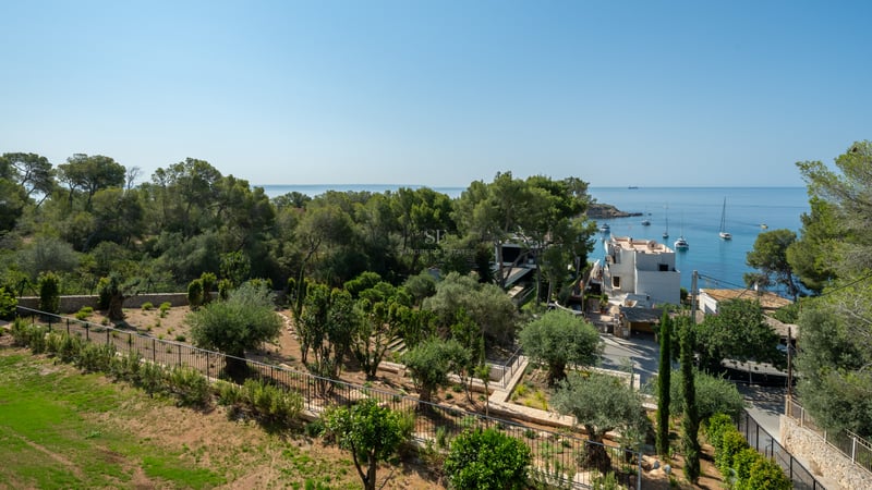 Vue d'un jardin méditerranéen avec oliviers surplombant une baie bleue avec voiliers et maisons blanches.