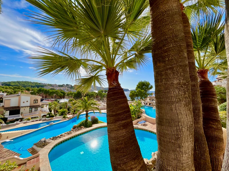 Vue à travers des palmiers sur de grandes piscines turquoise surplombant une ville côtière et la mer.